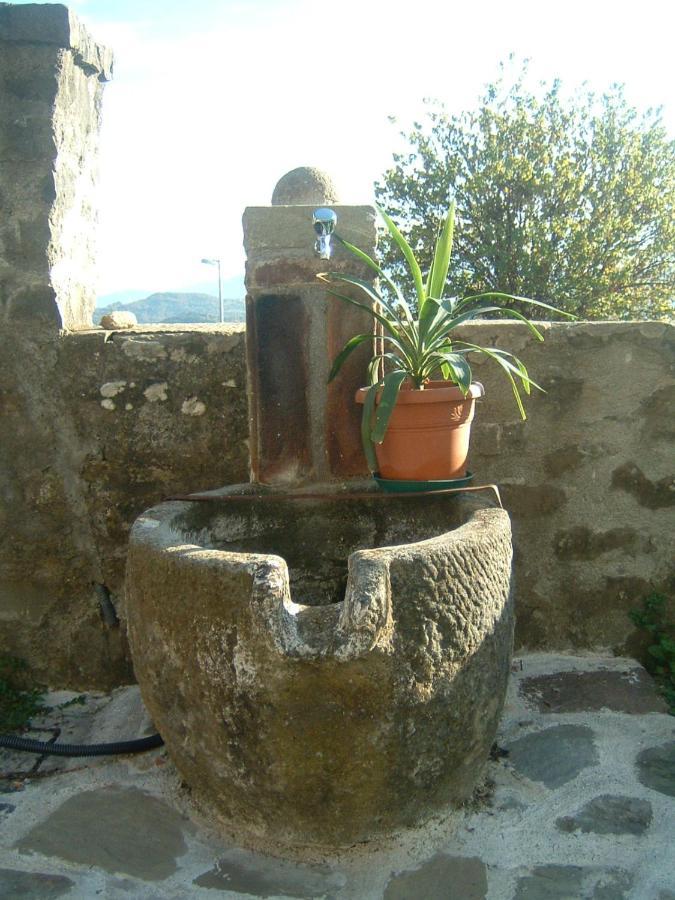 דירות קסטיליונה די גרפניאנה Il Casale Di Rolando מראה חיצוני תמונה